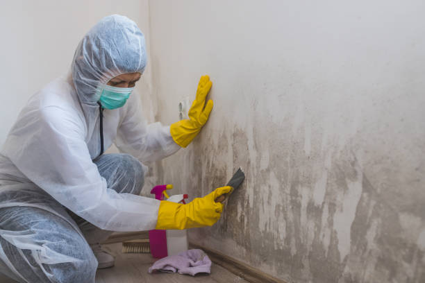 Best Crawl Space Mold Removal  in Manasquan, NJ