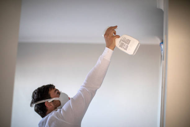 Best Mold Removal Near Me  in Manasquan, NJ