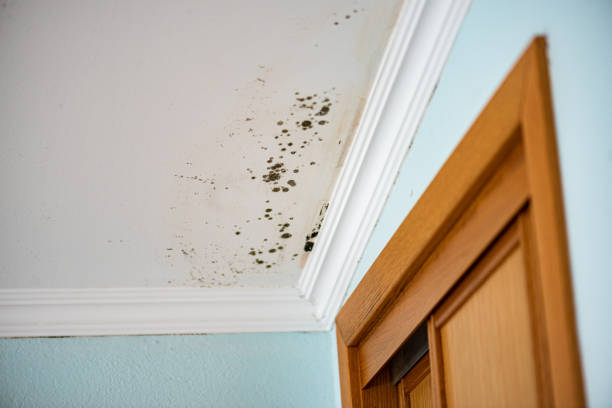 Water Damage Restoration in Manasquan, NJ