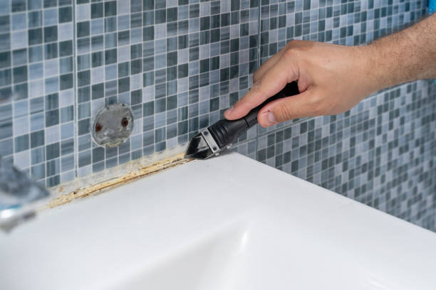 Best Fast Mold Removal  in Manasquan, NJ
