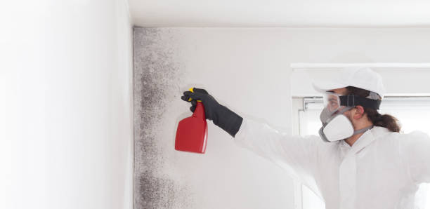 Best Crawl Space Mold Removal  in Manasquan, NJ