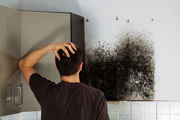 Best Fast Mold Removal  in Manasquan, NJ